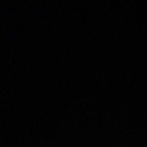 Meet your Posher, Niko